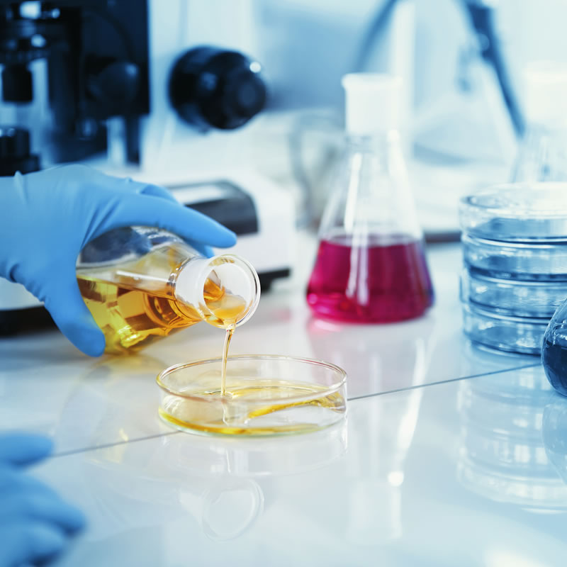 Western blot实验技术服务 蛋白免疫印迹实验代作外包